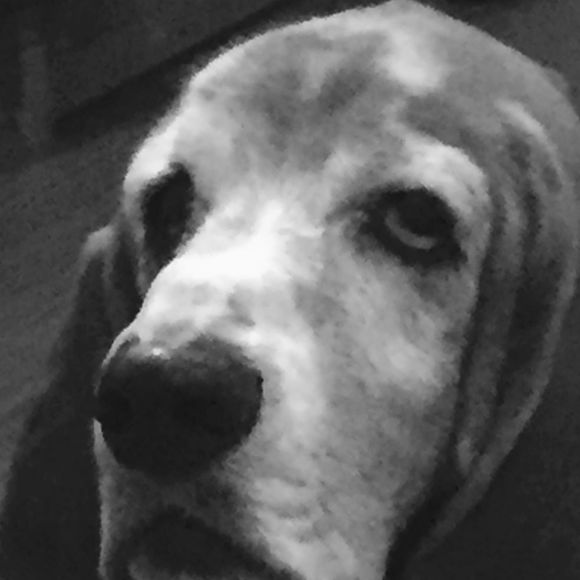 Meet your Posher, Stacy - Picture 1 of 1